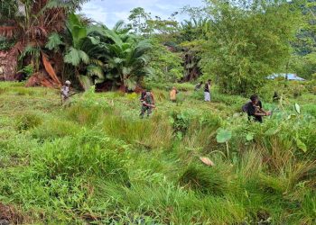 Babinsa Koramil 1715-05/Batom Kodim 1715/Yahukimo Bantu Warga Melaksanakan Pembersihan Lingkungan di Distrik Batom