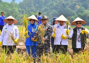 DANKORMAR DAMPINGI MENTAN RI DAN WAKASAL GELAR PANEN RAYA DI LAMPUNG