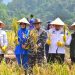 DANKORMAR DAMPINGI MENTAN RI DAN WAKASAL GELAR PANEN RAYA DI LAMPUNG
