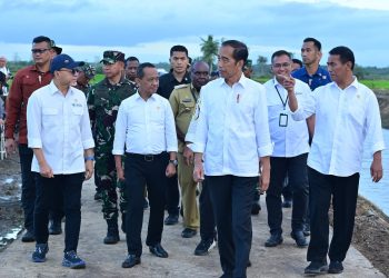 Panglima TNI Dampingi Presiden RI Tinjau Hanpangan Nasional di Merauke, Papua Selatan