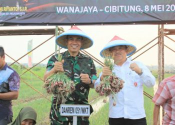 Danrem 051/Wkt Panen Bawang Merah di Cibitung
