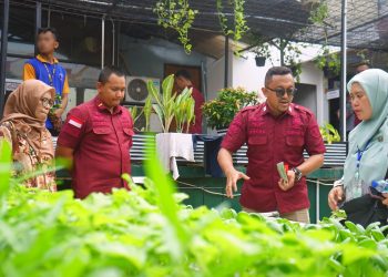 Kunjungan Dinas KPKP Jakarta: Kolaborasi untuk Pengembangan Keterampilan Hidroponik