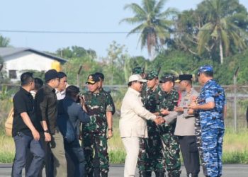 Panglima TNI Dampingi Presiden RI Tinjau Program Swasembada Pangan Nasional di Merauke