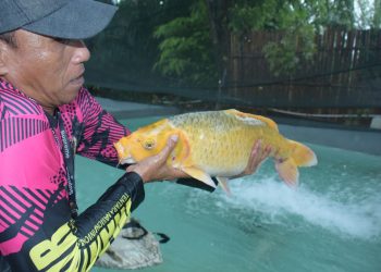 GALATAMA LOMBA MANCING KORPS MARINIR DIPADATI OLEH PARA PESERTA