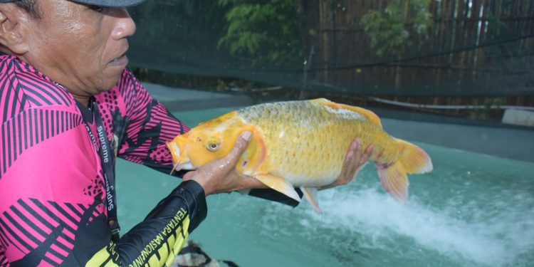 GALATAMA LOMBA MANCING KORPS MARINIR DIPADATI OLEH PARA PESERTA