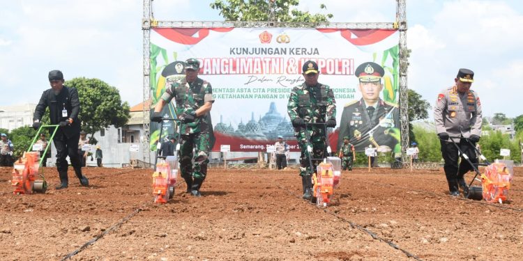 Dukung Asta Cita Presiden RI, Panglima TNI Tinjau Program Ketahanan Pangan Kodam IV/ Diponegoro