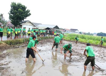 Bimtek Ketahanan Pangan TA 2025: TNI Dorong Swasembada Pangan Nasional Melalui Inovasi Bibit Unggul dan Metode Tanam