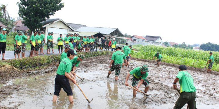 Bimtek Ketahanan Pangan TA 2025: TNI Dorong Swasembada Pangan Nasional Melalui Inovasi Bibit Unggul dan Metode Tanam