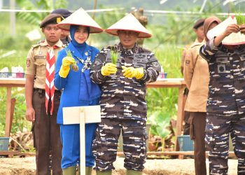 DANKORMAR GELAR PANEN RAYA DI BRIGIF 4 MARINIR/BS SEBAGAI BAHAN MENTAH PROGRAM MBG