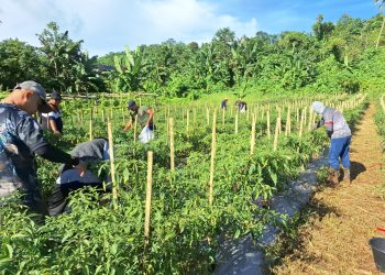 Sulawesi Utara, 23 April 2025 Nomor : SP-45/IV/2025