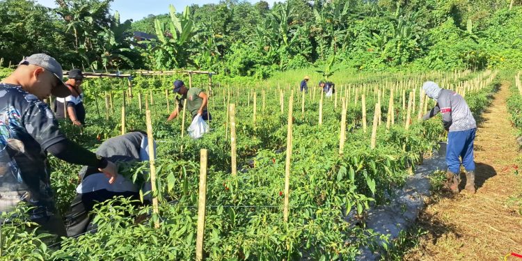 Sulawesi Utara, 23 April 2025 Nomor : SP-45/IV/2025