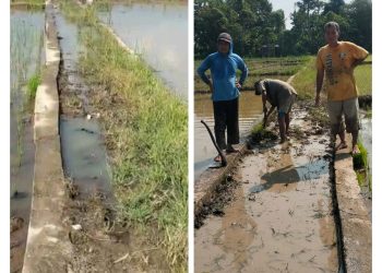 Kejati Sumsel Terima Laporan Dugaan Korupsi Proyek Jalan di Desa Tanjung Kurung