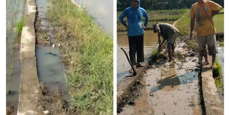 Kejati Sumsel Terima Laporan Dugaan Korupsi Proyek Jalan di Desa Tanjung Kurung