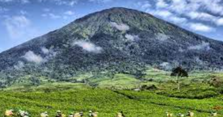 Dorong Amalgamasi Penataan Daerah Berbasis Otonomi Substansial antara Eks-Kewedanaan Tanah Pasemah dan Kota Pagaralam