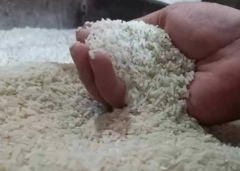 HARGA BERAS MELONJAK, GERBANG TANI: PETANI DAN RAKYAT KECIL JUSTRU PALING TERDAMPAK