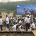 Komitmen Jaga Lingkungan, Widodo Bersama InJourney Tanam 14.000 Mangrove