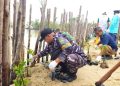 Posbinter Lobam Bersinergi Dengan PT. BIIE Tanam Mangrove, Wujud Kepedulian Terhadap Kelestarian Ekosistem Pesisir Bintan