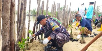 Posbinter Lobam Bersinergi Dengan PT. BIIE Tanam Mangrove, Wujud Kepedulian Terhadap Kelestarian Ekosistem Pesisir Bintan